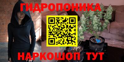 бошки Заводоуковск